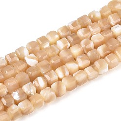 Цвет Древесины Натуральная оболочка из трохидных оболочек, граненые настольные бусины в форме куба, деревесиные, 3~3.5x3~3.5x3~3.5 мм, отверстие : 0.6~0.7 мм, около 115~116 шт / нитка, 15.16~15.35 дюйм (38.5~39 см)