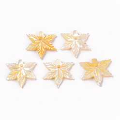 Yellow Shell Natural Yellow Shell Charms, Maple Leaf, 14x15.5x2mm, Hole: 1.2mm