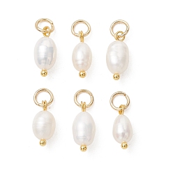 Золотой Подвески из натурального пресноводного жемчуга, подвески из риса с 304 соединительными кольцами из нержавеющей стали, белые, золотые, 11.5~13x5~6 мм, отверстие : 3.3 мм