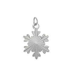 Нержавеющая Сталь Цвет 304 подвески из нержавеющей стали, цвет нержавеющей стали, 16x12x1 мм, отверстие : 2.5 мм