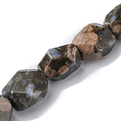 Glaucophane Бусы из натурального глаукофана, граненые, самородки, 16~17x11~13x11~13 мм, отверстие : 1.5 мм, около 13 шт / нитка, 8.46~8.58 дюйм (21.5~21.8 см)