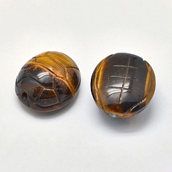 Tiger Eye Natural Tiger Eye Beads, Turtle Shell, 24x21x12mm, Hole: 2mm