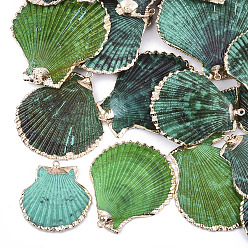 Colorful Spray Paint & Electroplate Sea Shell Pendants, with Iron Findings, Light Gold, Colorful, 40~61x36~54x3~10mm, Hole: 2mm