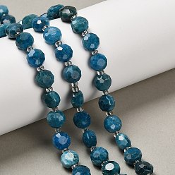 Апатит Природного апатита нитей бисера, плоско-круглые, граненые, с бисером, 7~7.5x7.5~8x4.5~5 мм, отверстие : 1 мм, около 19~21 шт / нитка, 7.52~7.60'' (19.1~19.3 см)