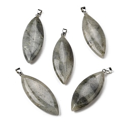 Лабрадорита Натуральный лабрадорита большие подвески, Подвески в виде конского глаза с 304 защелкивающимися креплениями из нержавеющей стали, цвет нержавеющей стали, 55~55.5x20~20.5x7.5~8 мм, отверстие : 6.5x4 мм