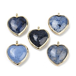 дюмортьерит Подвески из натурального дюмортьерита, с подвесками в виде сердечек из латуни с покрытием стойки, золотые, 24.5x21.5x8 мм, отверстие : 2.2 мм