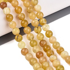 Yellow Opal Natural Yellow Opal Beads Strands, Smooth Round, 8.5mm, Hole: 0.9~1mm, about 47pcs/strand, 14.96~15.35 inch(38~39cm)