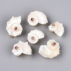 Cornsilk Electroplated Golden Brass Trim Natural Spiral Shell Pendants, Conch Charms, with Rhinestone, Cornsilk, 29~39x20~30x20~27mm, Hole: 1.8mm