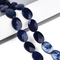 Ляпис-Лазурь Нитки бусины из натурального ляписа-лазури, Плоско-овальные, граненые, 18x13~13.5x5.5~6 мм, отверстие : 1.2 мм, около 11 шт / нитка, 7.87 дюйм (20 см)