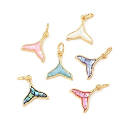 Настоящее золото 18K Подвески из латуни и ракушек с покрытием стойки, рыбий хвост, с эмалью, долговечный, без кадмия и без свинца, с целью перехода в кольце, реальный 18 k позолоченный, 11.5x10.5x2.5 мм, отверстие : 3.4 мм