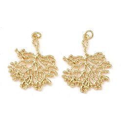 Настоящее золото 18K Латунные подвески, филиал, с прыжковых колец, без свинца и без кадмия, долговечный, стойки покрытие, реальный 18 k позолоченный, 32x27x2 мм, отверстие : 3 мм