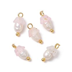 Розовый Цветочные акриловые подвески, с латунными штифтами с шаровидной головкой и бусиной из натурального культивированного пресноводного жемчуга, матовые, туманная роза, 11.5x6 мм, отверстие : 1.6 мм