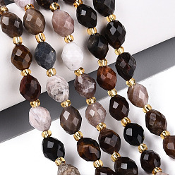 Деревянное Окаменение Природные окаменелое дерево бисер пряди, граненые, овальные, с бисером, 8~9x6~8 мм, отверстие : 1~1.2 мм, около 36~38 шт / нитка, 14.96~15.35 дюйм (38~39 см)