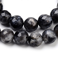 Larvikite Natural Larvikite Beads Strands, Faceted, Round, 8~8.5mm, Hole: 1mm, about 47pcs/strand, 15.5 inch