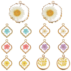 Mixed Color 14Pcs 7 Styles Resin Pendants, with Dried Flower and Edge Light Gold Plated Iron Loop, Mixed Shapes, Mixed Color, 22~35x16~32x3.5~5.5mm, Hole: 1.6~2mm, 2pcs/style