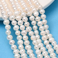 Old Lace Natural Cultured Freshwater Pearl Beads Strands, Potato, Grade 3A+, Old Lace, 7~8mm, Hole: 0.5mm, about 50~59pcs/strand, 13.58''(34.5cm)