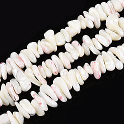 (404) Непрозрачное AB Кислое яблоко Натуральная оболочка из трохидных оболочек, чип, цветочный белый, 2.5~9x6~17x2.5~9 мм, отверстие : 0.8 мм, около 98~115 шт / нитка, 13.98~15.75'' (35.5~40 см)