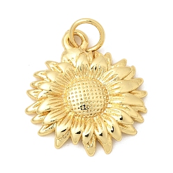 Настоящее золото 18K Латунные подвески, , долговечный, стойки покрытие, без кадмия и без свинца, реальный 18 k позолоченный, 18x16.5x3 мм, отверстие : 3 мм