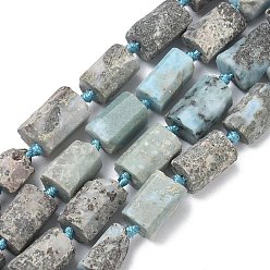 Ларимар Природные ларимар бисер нитей, граненые, колонка, 9~11.5x5.5~8x5~8.5 мм, отверстие : 1 мм, около 31~32 шт / нитка, 16.81'' (42.7 см)