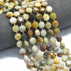 Flower Amazonite Натуральный цветок амазонитовые бусины пряди, граненый шестиугольный разрез, плоско-круглые, с бисером, 10~10.5x6 мм, отверстие : 1.1 мм, около 31~32 шт / нитка, 15.35''~15.55'' (39~39.5 см)