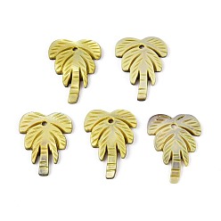 Зелено-Желтый Резные подвески из натуральных пресноводных ракушек, очарование кокосового дерева, окрашенные, зеленый желтый, 18~21x14.5~15.5x1.5~2.5 мм, отверстие : 1.5 мм