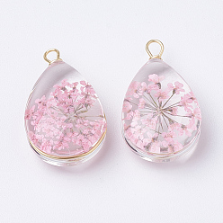 Pink Стеклянные подвески, с высушенными цветами внутри и латуни, слеза, золотые, розовые, 22~24x13x8 мм, отверстие : 2 мм
