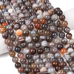 (946FM) Цитрин матовый с зеленой подкладкой Природные Ботсвана агат бисер нитей, гладкий круглый, 8 мм, отверстие : 0.8 мм, около 48 шт / нитка, 15.35'' (39 см)