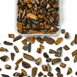 Тигровый глаз 50g натуральные бусины с изображением тигрового глаза, нет отверстий / незавершенного, 5~10.5x5~7x2~4 мм