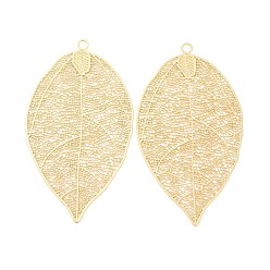 Золотой Большие сплавочные подвески, амулеты из полых листьев, золотые, 60x33x0.5 мм, отверстие : 2.5 мм