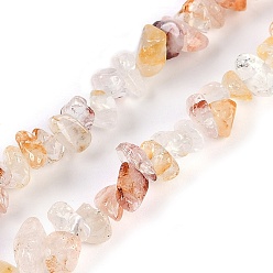 Красный Кварц Нити из натурального красного гематоидного кварца/железистого кварца, чип, 6~12x1.5~6x4~7 мм, отверстие : 1 мм, 31.50'' (80 см)