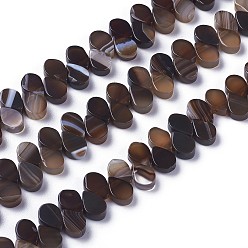 Кокосово-Коричневый Окрашенные естественный агат бисер пряди, сверху просверленные бусы, слеза, кокосового коричневый, 7.5~8x5~5.5x2.5~3 мм, отверстие : 1 мм, около 112 шт / нитка, 15.3 дюйм (38.9 см)