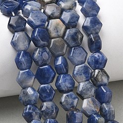 Содалитовое Природный содалит бисер нитей, шестиугольник, 8x8.5~9x5 мм, отверстие : 0.8 мм, около 47~48 шт / нитка, 15.16~15.35'' (38.5~39 см)