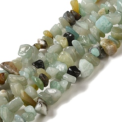 Flower Amazonite Натуральный цветок амазонитовые чипсы бусины пряди, 5~8x5~8 мм, отверстие : 1 мм, о 31.5 дюйме