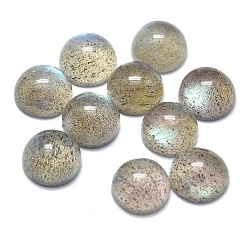 Лабрадорита Природные кабошон лабрадора, полукруглые / купольные, 6x3 мм