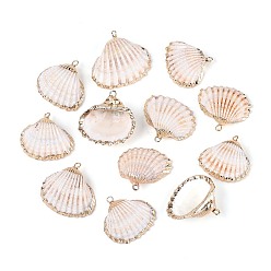 Морская Ракушка Подвески из натуральных морских ракушек, покрытые гальваническим способом, подвески в форме ракушек, с медными петлями, золотые, цвет морской раковины, 25~30x26.5~33x9.5~11.5 мм, отверстие : 1.8~2 мм