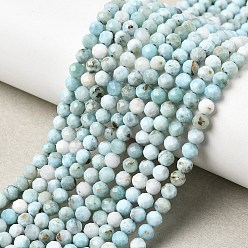 Ларимар Природные ларимар бисер нитей, граненые, круглые, 4~4.5 мм, отверстие : 0.8 мм, около 94~104 шт / нитка, 15.35''~15.55'' (39~39.5 см)