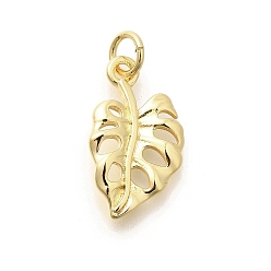 Настоящее золото 18K Латунные подвески, с целью перехода в кольце, долговечный, без свинца и без кадмия, лист прелести, реальный 18 k позолоченный, 18x10x1.5 мм, отверстие : 3.5 мм