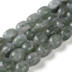 Dark Slate Gray Natural Malaysia Jade Beads Strands, Faceted, Oval, Dyed and Heated, Dark Slate Gray, 8.5~11.5x7~8x6.5~8mm, Hole: 1.5mm, about 37~38pcs/strand, 14.76''~15.55''(37.5~39.5cm)