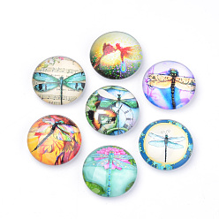 Mixed Color Fridge Magnets Glass Decorations, Flat Round with Dragonfly Pattern, Mixed Color, 40x14.5mm