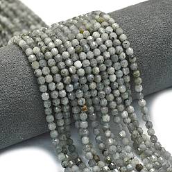 Лабрадорита Природные лабрадорита бисер нитей, энергетическая призматическая огранка с двойными концами бусины, граненые двухконусные, 4x4.5 мм, отверстие : 0.4 мм, около 83 шт / нитка, 14.96 дюйм (38 см)
