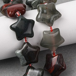 (RRHB277) Кристалл на подкладке из медово-бежевого цвета Природного индийского агата бисер нитей, звезда, с бисером, 15~15.5x16~16.5x6.5~7 мм, отверстие : 1.4 мм, около 25 шт / нитка, 15.75''~16.14'' (40~41 см)