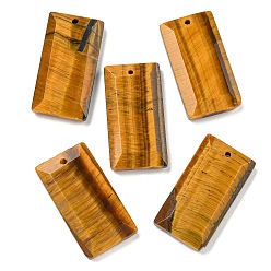 Тигровый глаз Природных тигровый глаз подвески, граненые прямоугольные подвески, 25x13x4 мм, отверстие : 1 мм