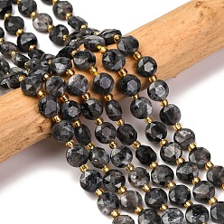 Larvikite Натуральные нити бус из ларвикита, граненый пятиугольный разрез, плоско-круглые, с бисером, 8~8.5x5 мм, отверстие : 0.8 мм, около 36 шт / нитка, 15.16''~15.24'' (38.5~38.7 см)