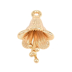 Золотой Латунные подвески, , золотые, 19.5x11 мм, отверстие : 1.3 мм