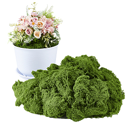 Темно-Зеленый Искусственный мох из полиэстера, микросцена садовое украшение, аксессуары для реквизита для фотосъемки, темно-зеленый, 5 мм