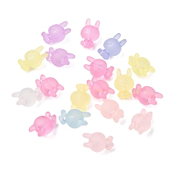 Кролик Матовые прозрачные акриловые бусины, разноцветные, кролик, 19x12.5x4.5 мм, отверстие : 2.8 мм
