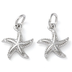 Платина Покрытие стойки латунь микропаве прозрачные кубические циркониевые подвески, долговечный, с прыжковых колец, морская звезда, платина, 14x12x2 мм