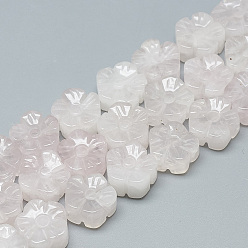 Розовый Кварц Резные натуральные бусы из розового кварца, цветка сливы, 13~14x13~14x7~8 мм, отверстие : 1 мм, около 16 шт / нитка, 8.2 дюйм ~ 8.6 дюйм