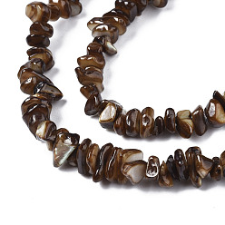 Coconut Brown Natural Freshwater Shell Beads Strands, Dyed, Chips, Coconut Brown, 2~6x4~14x4.5~8.5mm, Hole: 0.7~0.8mm, about 258~292pcs/strand, 31.10 inch~32.05 inch(79cm~81.4cm)