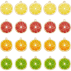(52) Непрозрачная лаванда 40 шт 4 цвета эмалевые подвески из легкого золотого сплава, без кадмия, без никеля и без свинца, ломтик грейпфрута, разноцветные, 26x23x2 мм, отверстие : 2 мм, 10 шт / цвет